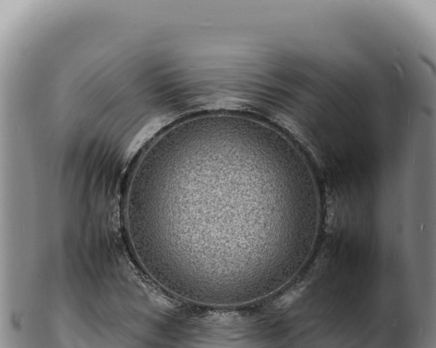 X0000103250978200809041105