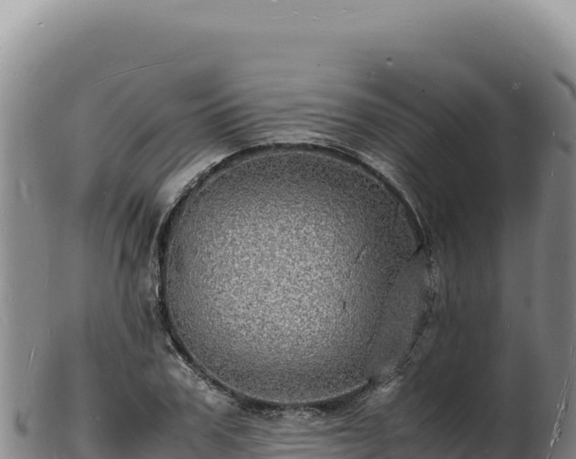 X0000103250979200809041105