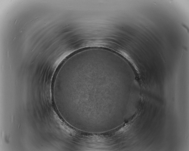 X0000103250980200809041105