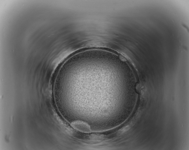 X0000103250981200809041105