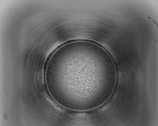 X0000103250982200809041105