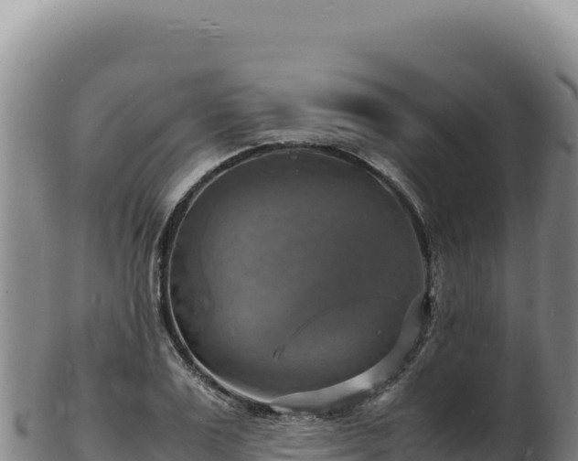 X0000103250983200809041105