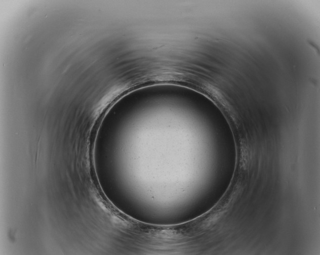 X0000103250986200809041105
