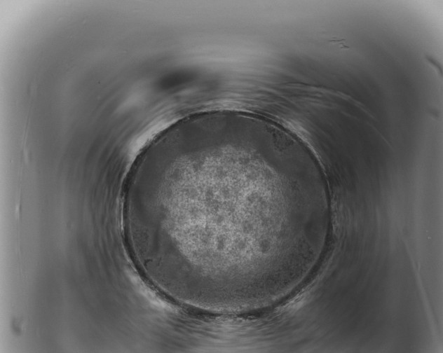 X0000103250987200809041105