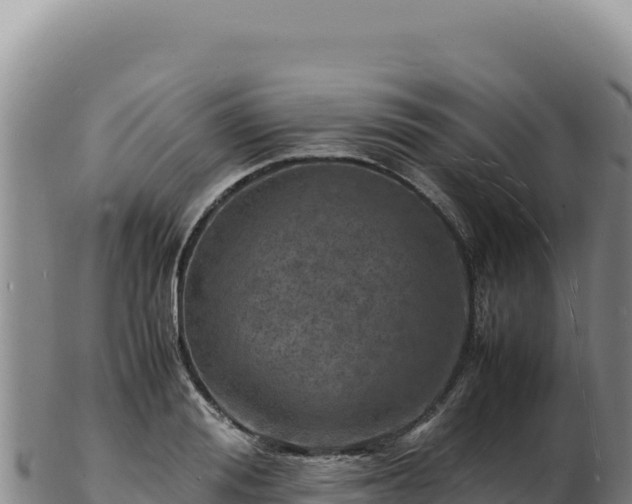 X0000103250988200809041105