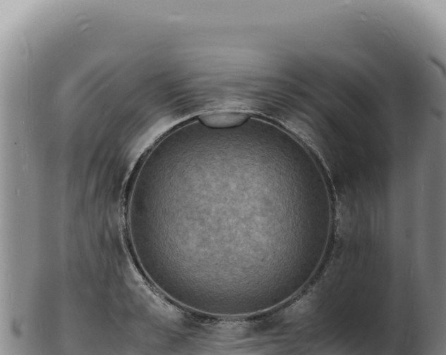X0000103250989200809041105