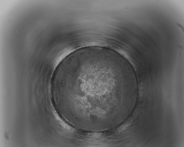 X0000103250991200809041105