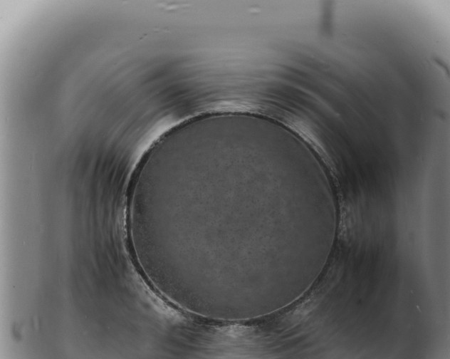 X0000103250992200809041105