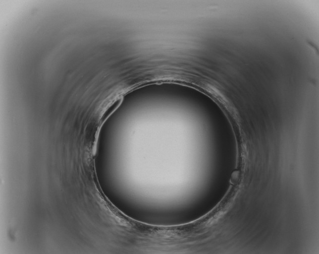 X0000103250993200809041105