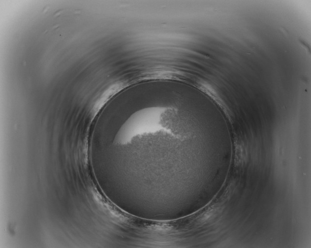 X0000103250994200809041105