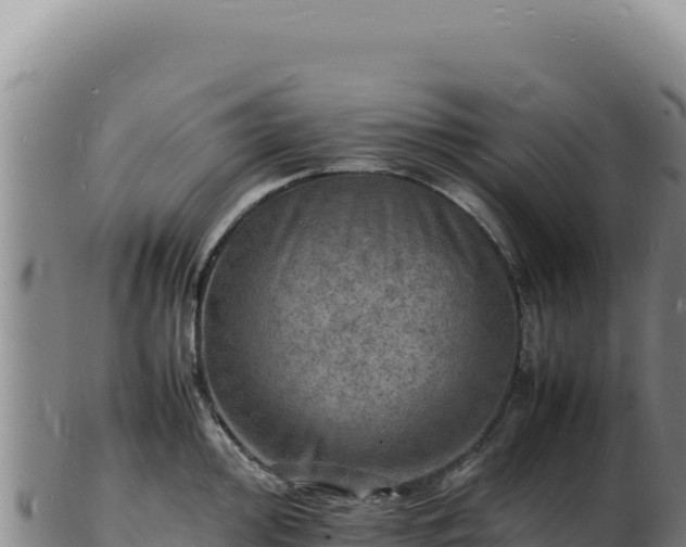 X0000103251000200809041105
