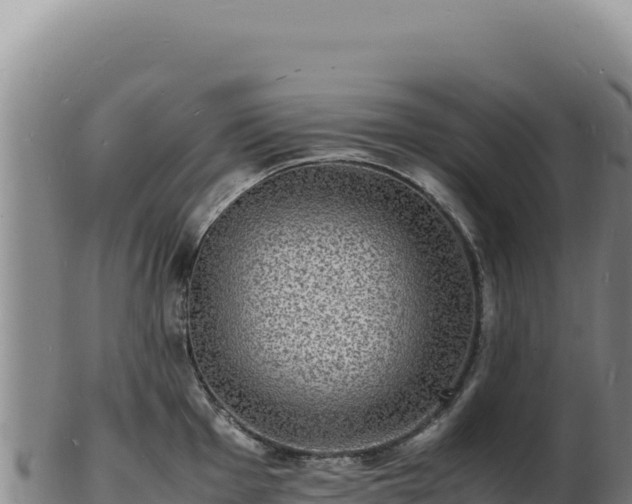X0000103251001200809041105
