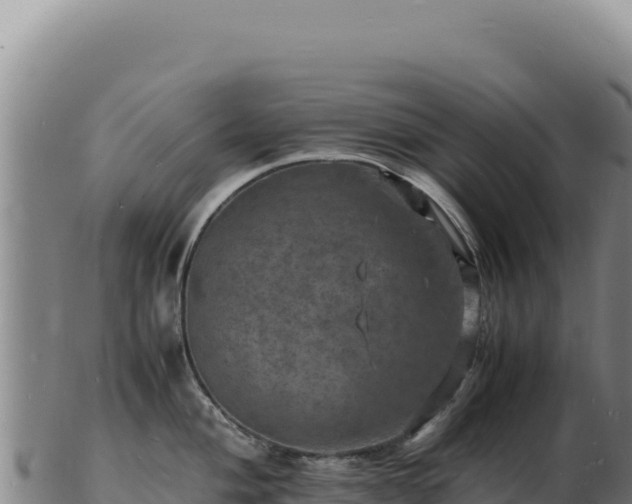 X0000103251004200809041105