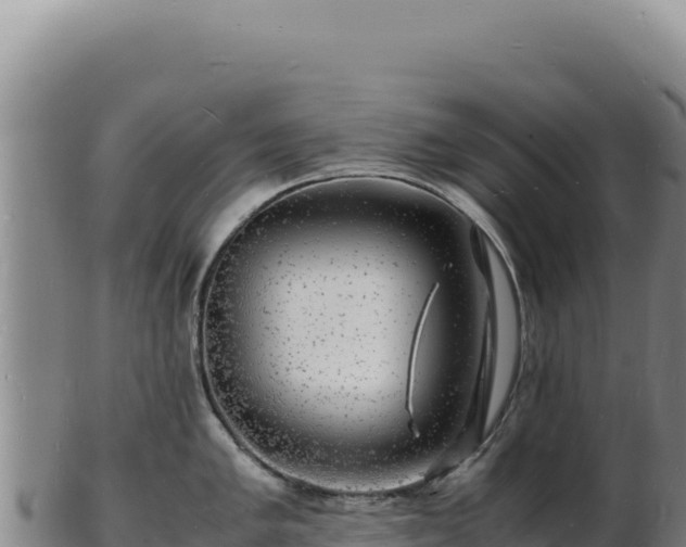 X0000103251005200809041105