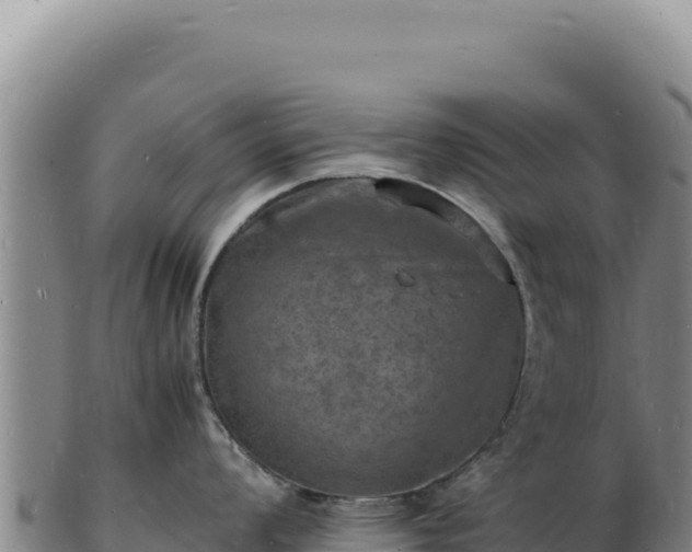 X0000103251008200809041105