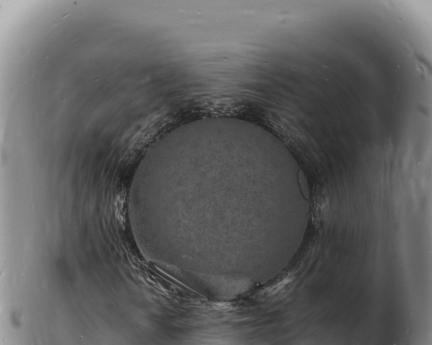 X0000103251010200809041104