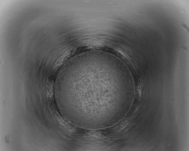 X0000103251012200809041104