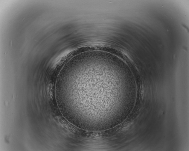 X0000103251016200809041104
