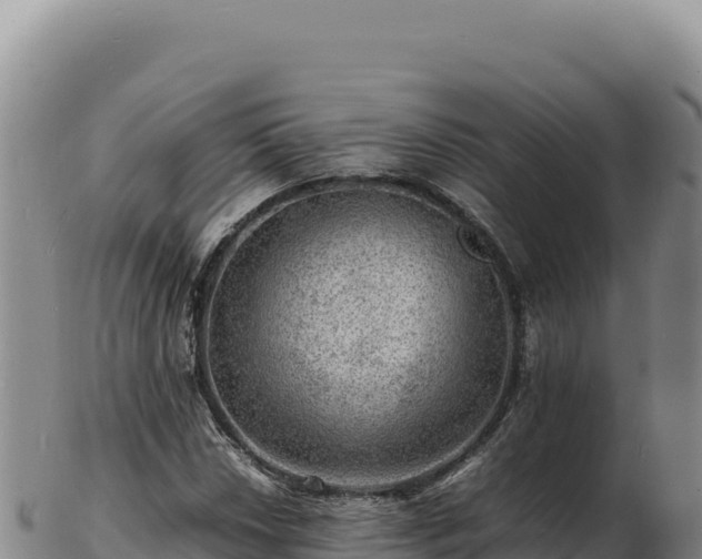 X0000103251018200809041104