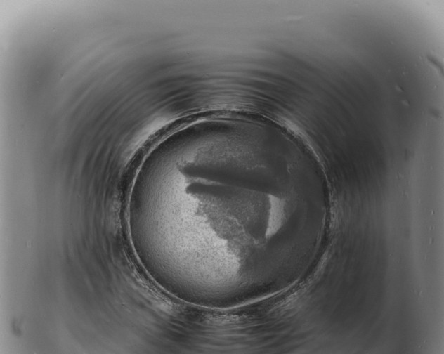 X0000103251019200809041104