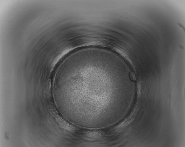 X0000103251021200809041104