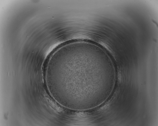 X0000103251022200809041104