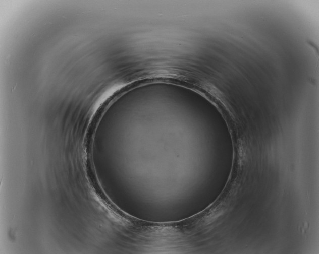 X0000103251024200809041104