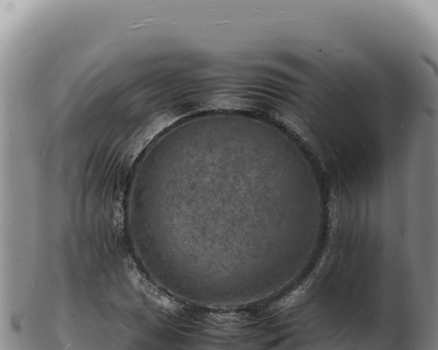 X0000103251025200809041104