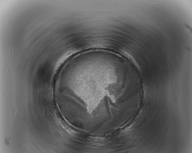 X0000103251027200809041104