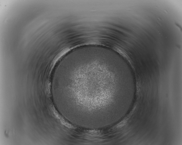 X0000103251029200809041104