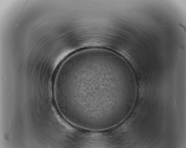X0000103251030200809041104