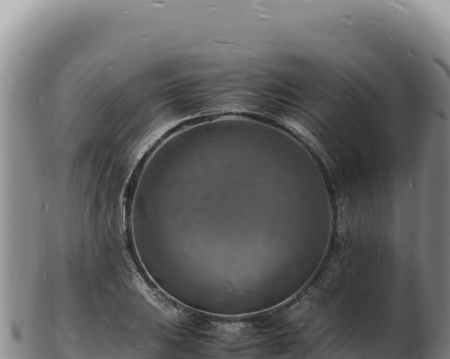 X0000103251031200809041104