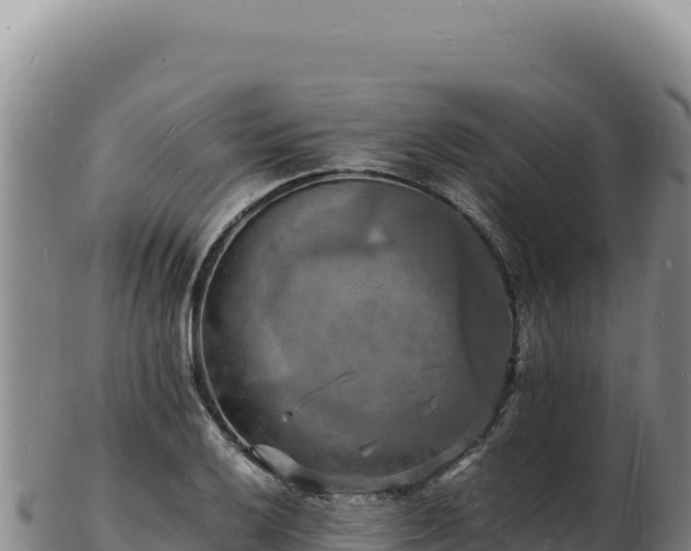 X0000103251032200809041104