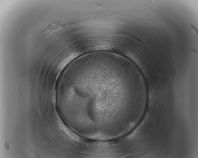 X0000103251034200809041104