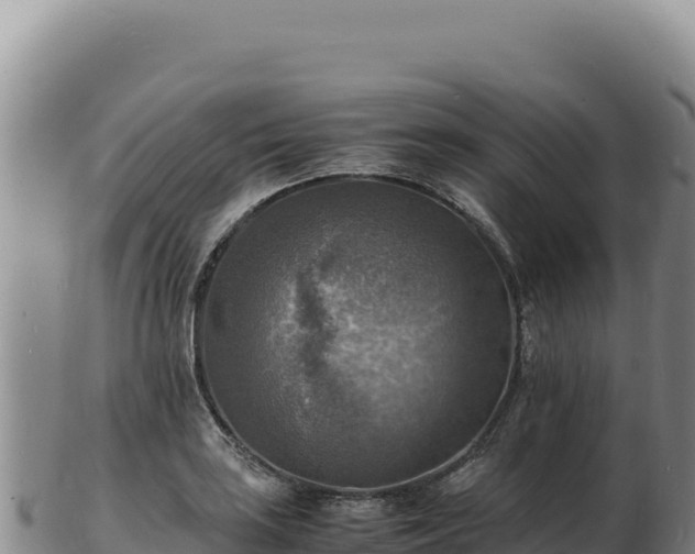 X0000103251035200809041104