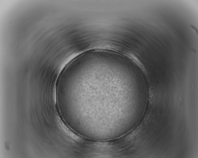 X0000103251036200809041104