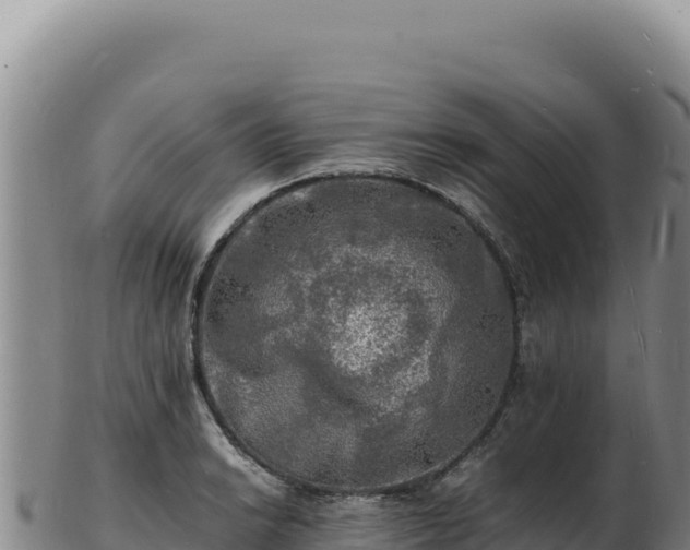 X0000103251038200809041104