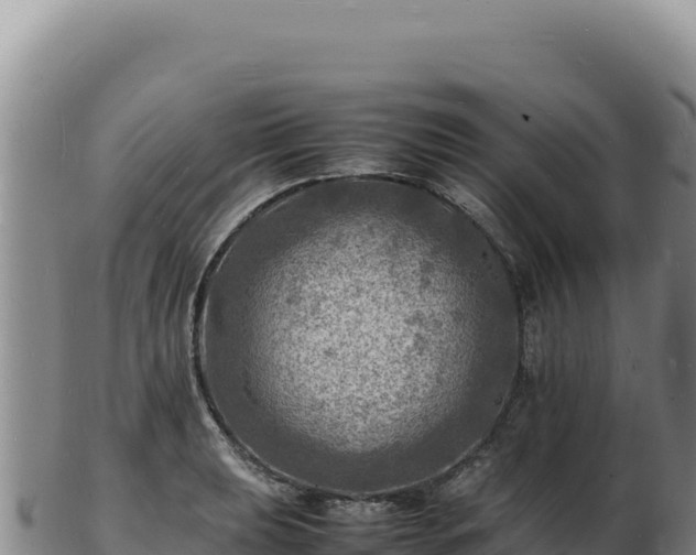 X0000103251039200809041104