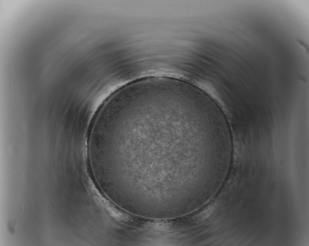 X0000103251040200809041104