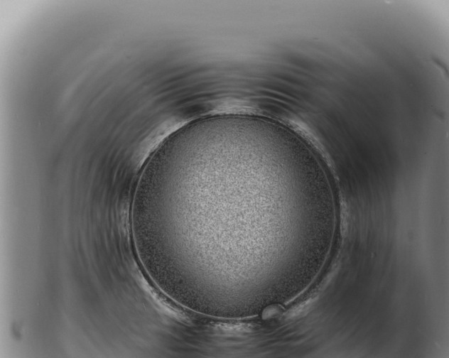 X0000103251041200809041104