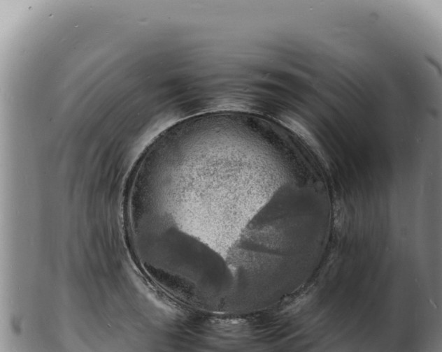 X0000103251043200809041104