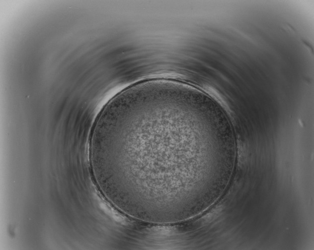 X0000103251044200809041104