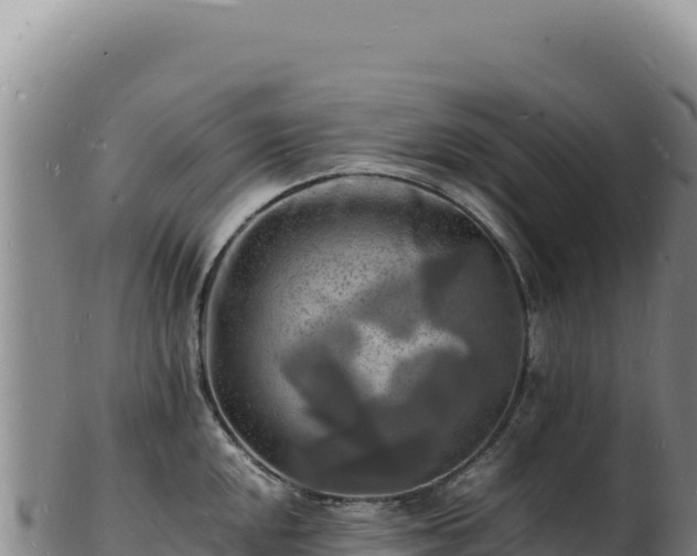 X0000103251048200809041105