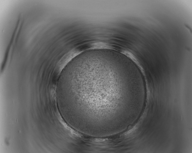 X0000103251049200809041105