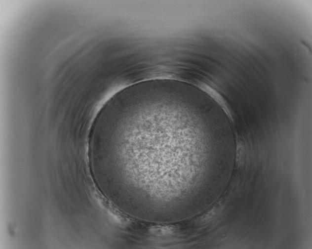 X0000103251051200809041105