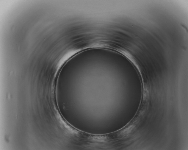 X0000103251053200809041105