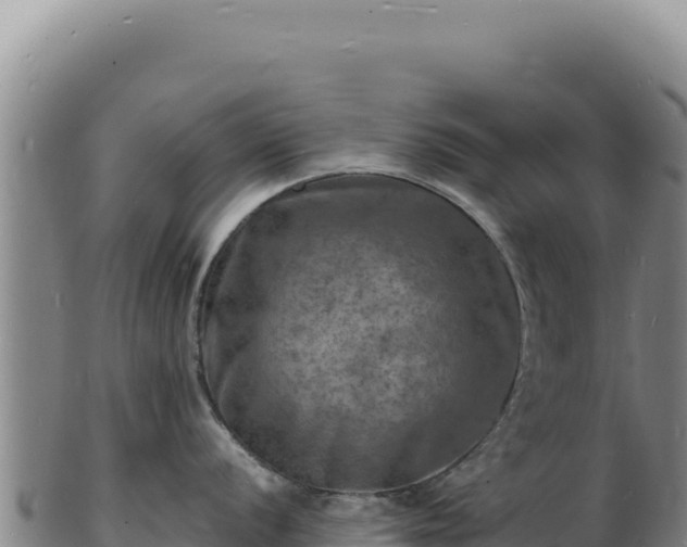 X0000103251056200809041105