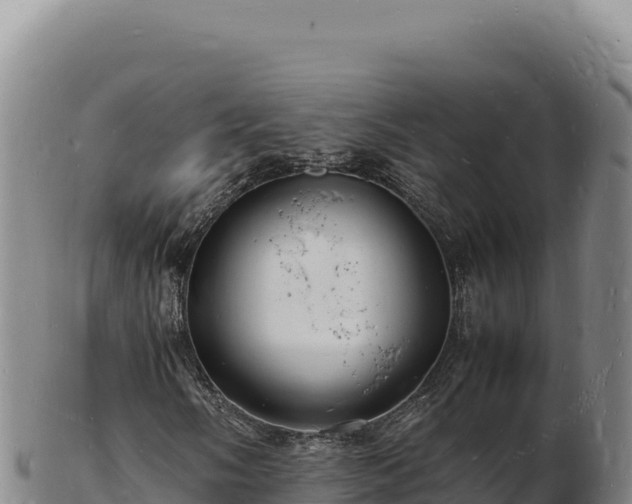 X0000103251058200809041104