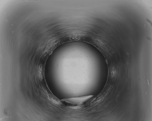 X0000103251060200809041104