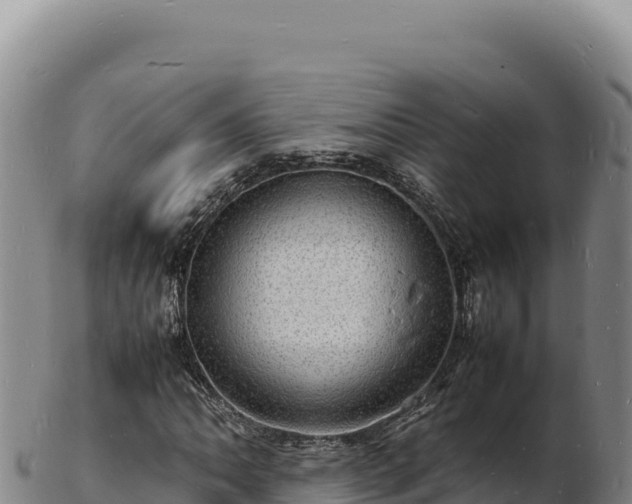 X0000103251062200809041104
